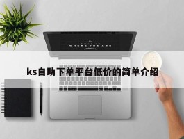 ks自助下单平台低价的简单介绍