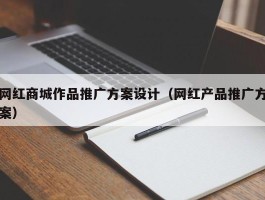 网红商城作品推广方案设计（网红产品推广方案）