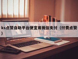 ks点赞自助平台便宜用微信支付（付费点赞）