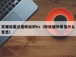 买播放量还是粉丝好ks（粉丝播放量是什么意思）