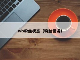 wb粉丝状态（粉丝情况）