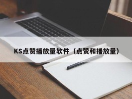 KS点赞播放量软件（点赞和播放量）