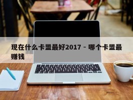 现在什么卡盟最好2017 - 哪个卡盟最赚钱