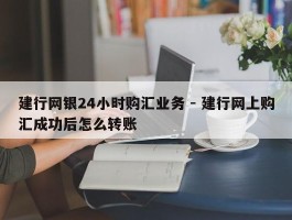 建行网银24小时购汇业务 - 建行网上购汇成功后怎么转账