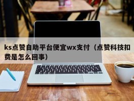 ks点赞自助平台便宜wx支付（点赞科技扣费是怎么回事）